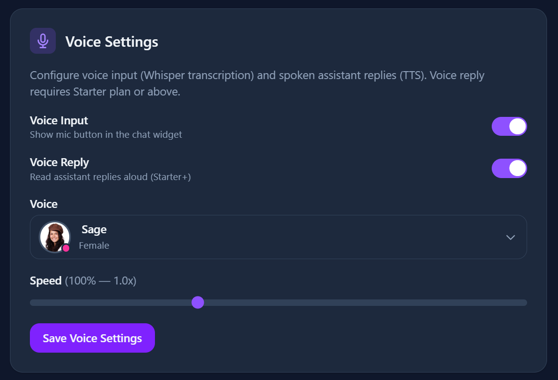Voice settings panel with voice input enabled